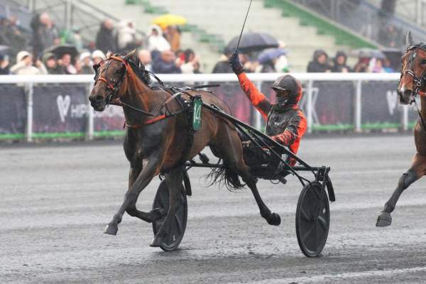 La photo de Nocive Du Choquel