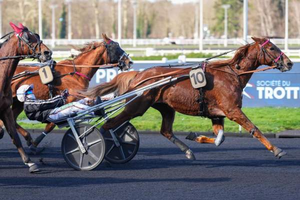 La photo de Jilord Viva