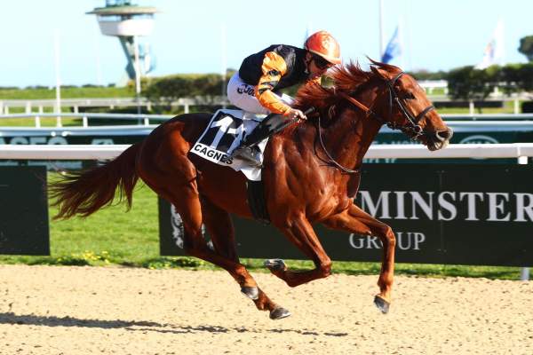 La photo de Fou Furieux