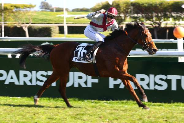 La photo de Gold Player