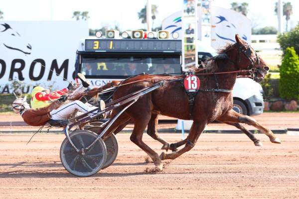 La photo de Hedic Gema