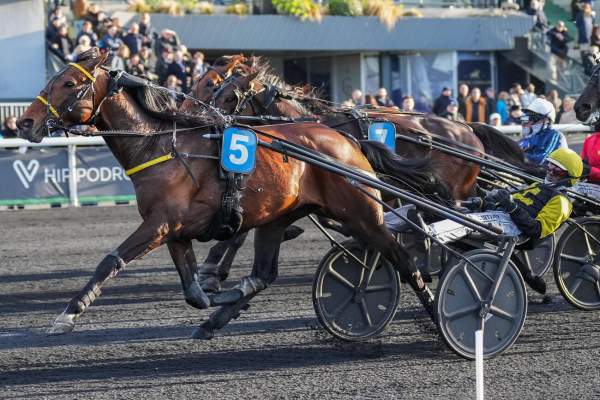 La photo de Maitre Jacques