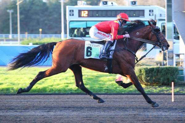 La photo de Kobayashi