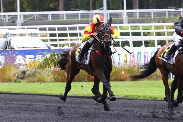 La photo de Mazal Des Glenan