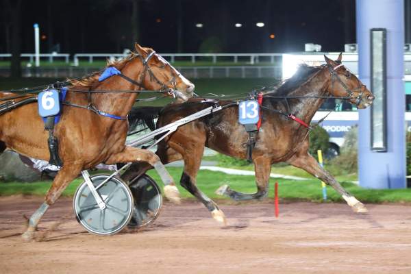 Jizou D'etang Arrivée Quinté+ Pmu Prix De Sanary-Sur-Mer à Enghien