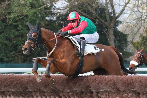 Kirikou Des Mers arrivée Quinté+ pmu Prix Predicateur à Auteuil