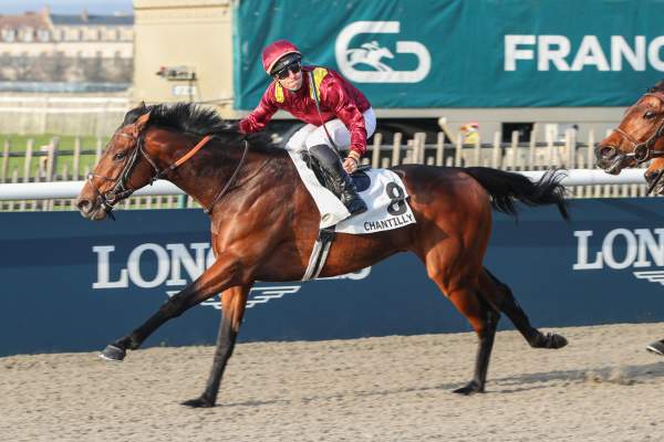 Hello Jo arrivée pmu Prix Maurice Caillault (L) à Chantilly