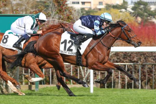 La photo de Guillerette