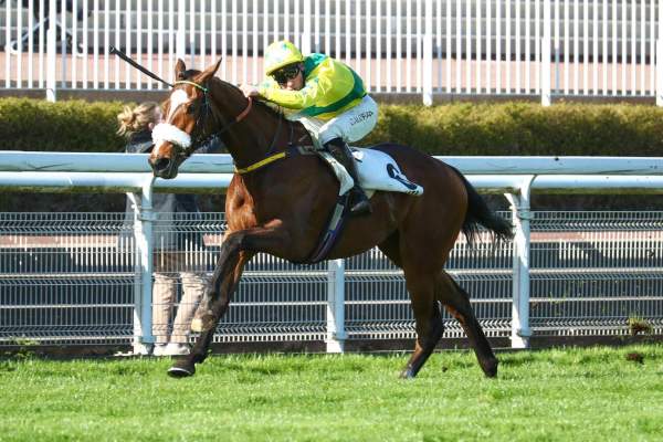 La photo de No Limits Steve