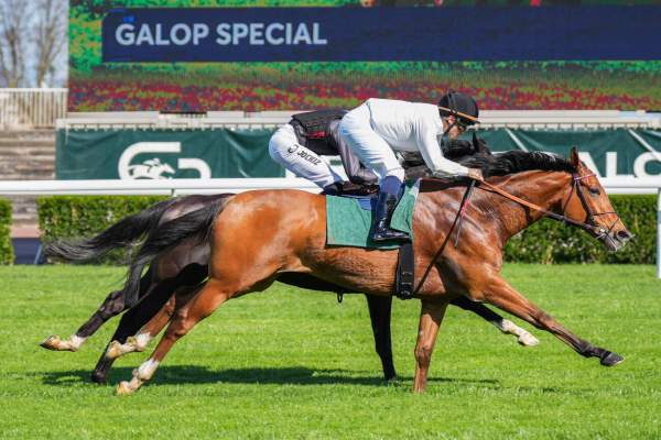 La photo de Calandagan