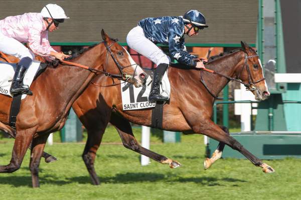 La photo de Quest For Magic