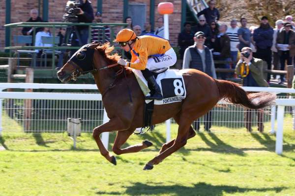 La photo de Scarface