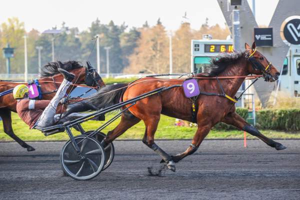 Ino Du Lupin arrivée pmu Prix du Bois de Vincennes à Paris-Vincnnes