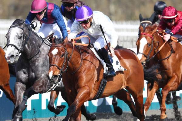 La photo de Tortisambert