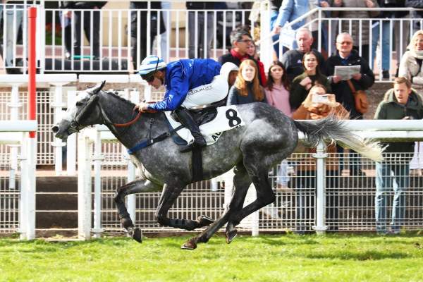 Dixan Senora Arrivée Quinté+ Pmu Prix Rose Or No à Auteuil