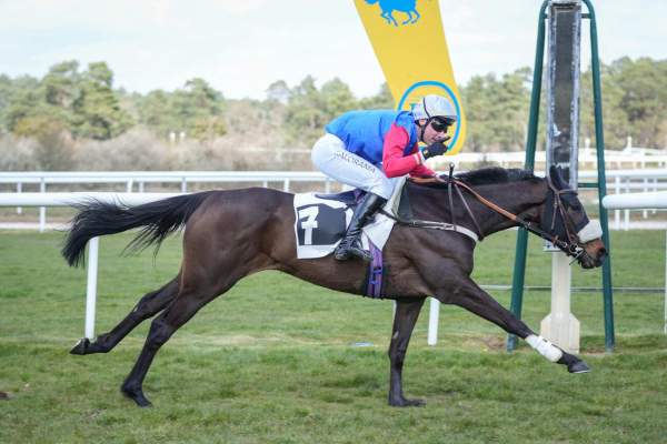 LYRE D'OUDAIRIES