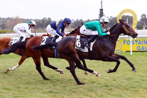 Blarney Arrivée Quinté+ Pmu Prix Des Grandes Fontaines à Fontainebleau