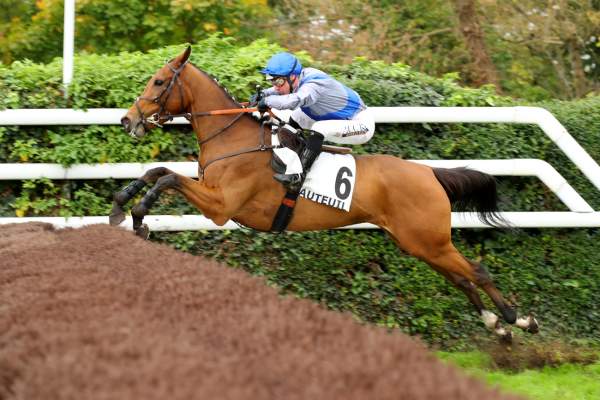 NIKKI FLIGHT