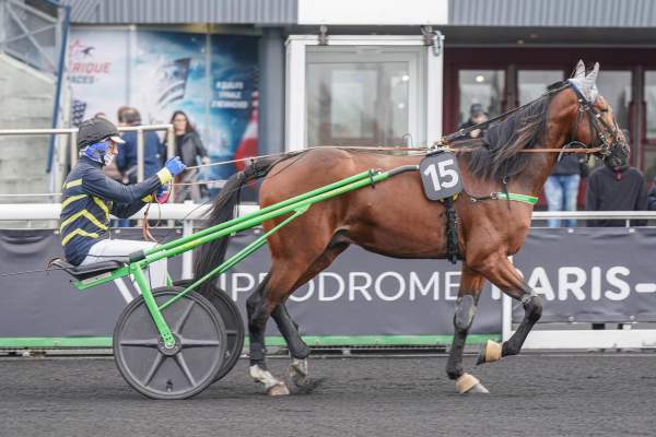 GOELICHER ST