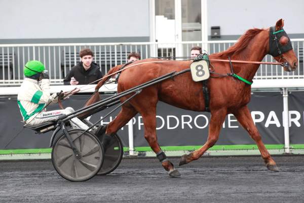 FOREVER D'ARIANE