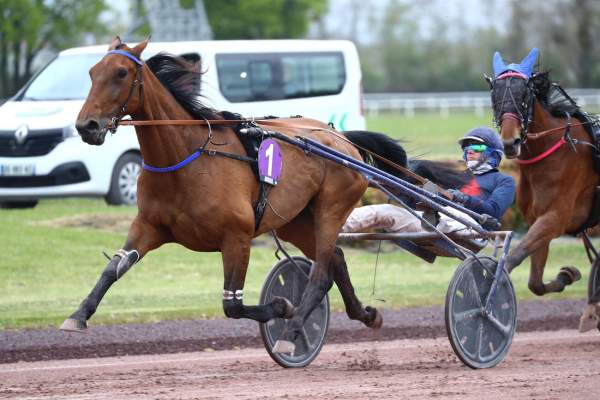 La photo de Jolie Star