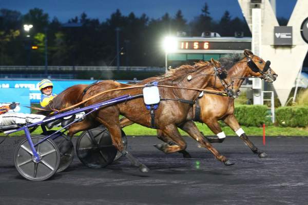 La photo de Iermes De Guez