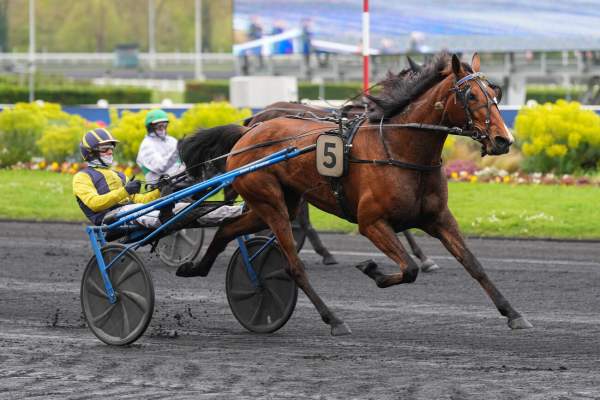 La photo de Molly Madrik