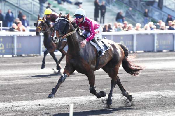 Indigo Du Poret Arrivée PMU Prix Cornelia à Vincennes