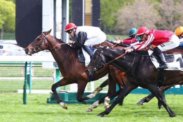 Lanzelot Gold Arrivée Quinté+ Pmu Super Handicap De Reouverture à Longchamp