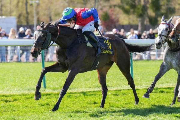 La photo de HAMANDIO