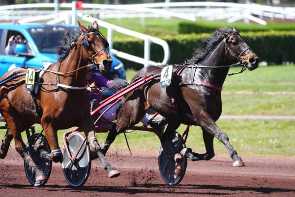 La photo de Jotunn Du Dome