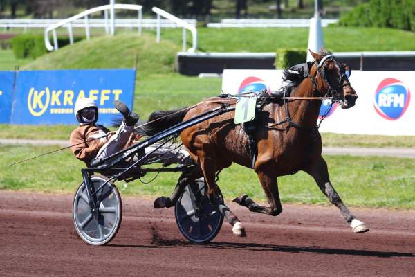 KING DE JOUDES