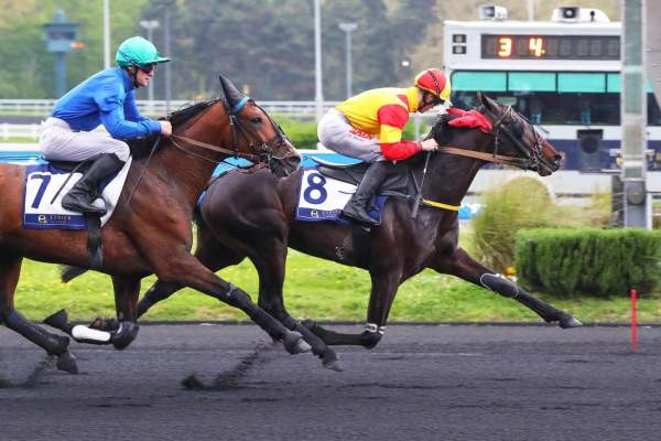Ninja De L'envol arrivée pmu Prix Gai Brillant Etrier 3 ans Q3 à Vincennes