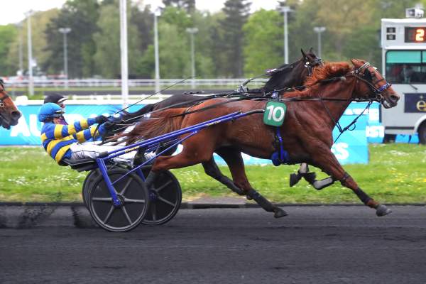 La photo de LOMBOK JIEL