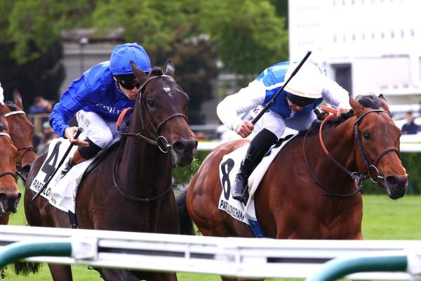 La photo de Komorebi