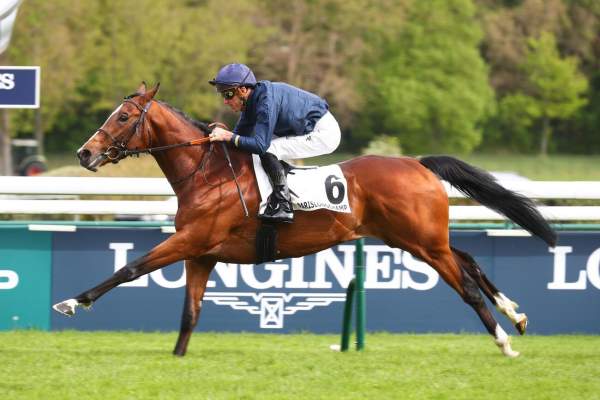 La photo de Pearled Majesty