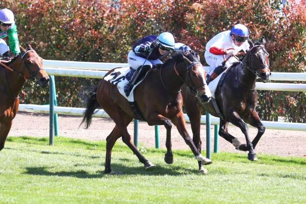 La photo de Royalwood