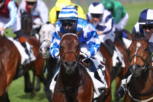 La photo de MY CALYX CEN