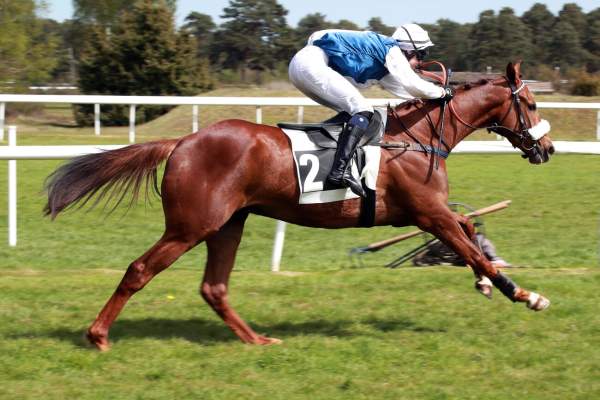 NEIL DU SEUIL