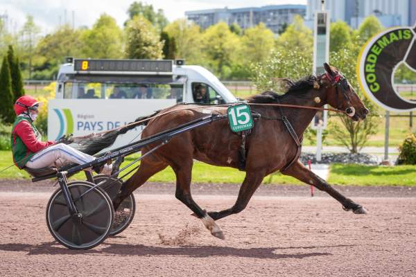 La photo de Ileo Pierji