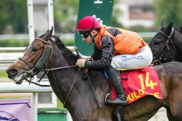 La photo de Golden Blush