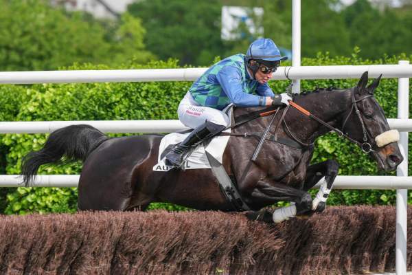 La photo de Losange Bleu