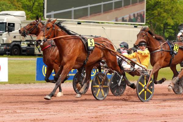 La photo de Joyce Delto