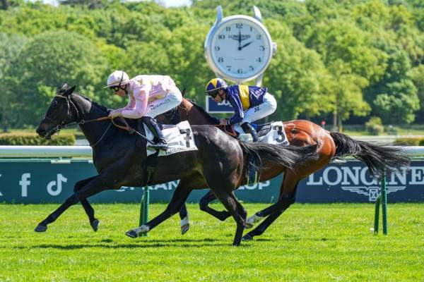 Black Saxon Arrivée Quinté+ Pmu Prix Du Pantheon à Longchamp