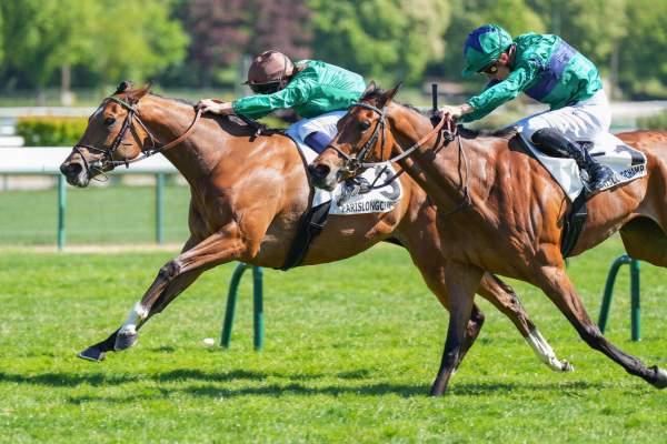 Mandanaba arrivée pmu Prix Maurice Zilber (L) à Longchamp
