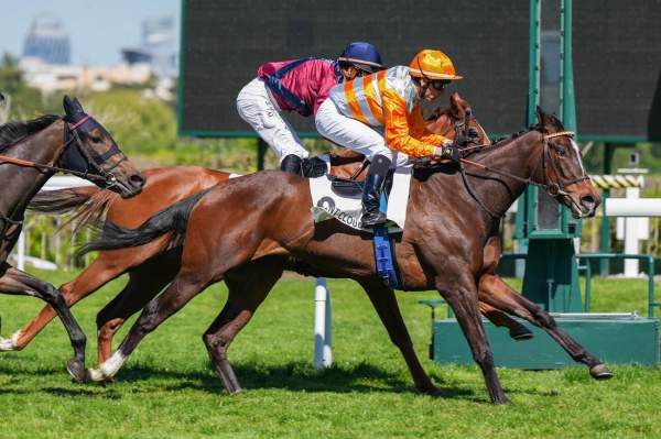 SPIRIT OF ZARAK