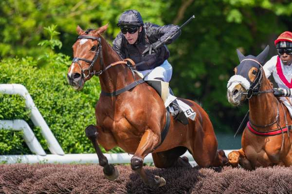 La photo de In Between Days