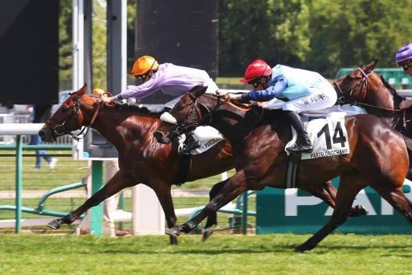 La photo de Tornado Alley