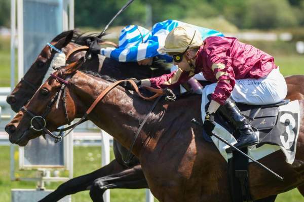 La photo de Le Matelot