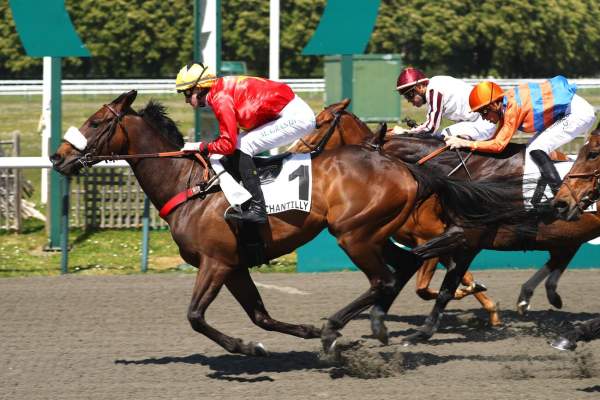 Zelzari Arrivée Quinté+ Pmu Prix Chantilly Capitale Du Cheval à Chantilly